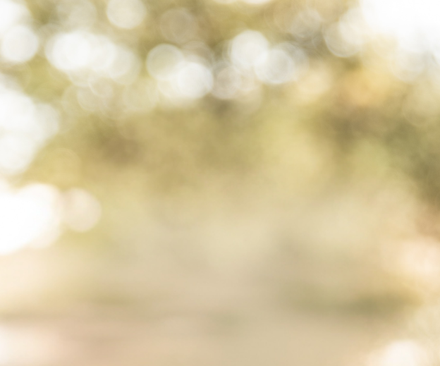 Background image of blurred trees